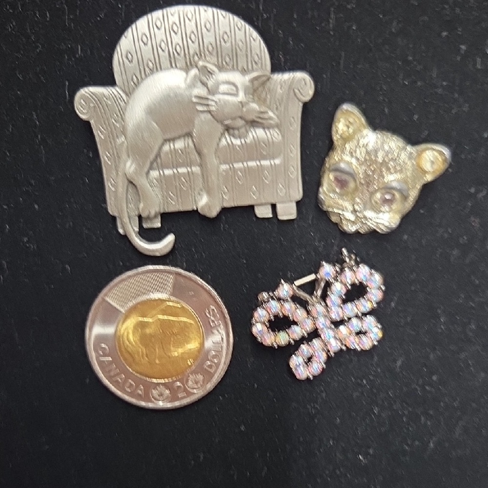 Silver Cat and Gold Kitten Brooch Set